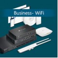 Business Wi-Fi