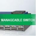 MANAGEABLE SWITCH