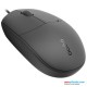 Rapoo N100 Optical USB Wired Mouse (1Y)